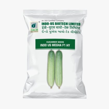 CUCUMBER SEEDS INDO US MEGHA F1 HY (10 GM)