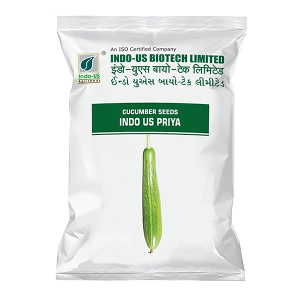 CUCUMBER SEEDS INDO US PRIYA OP (50 GM)