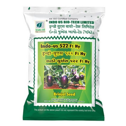 BRINJAL SEEDS INDO US 522 F1 HY (10 GM)