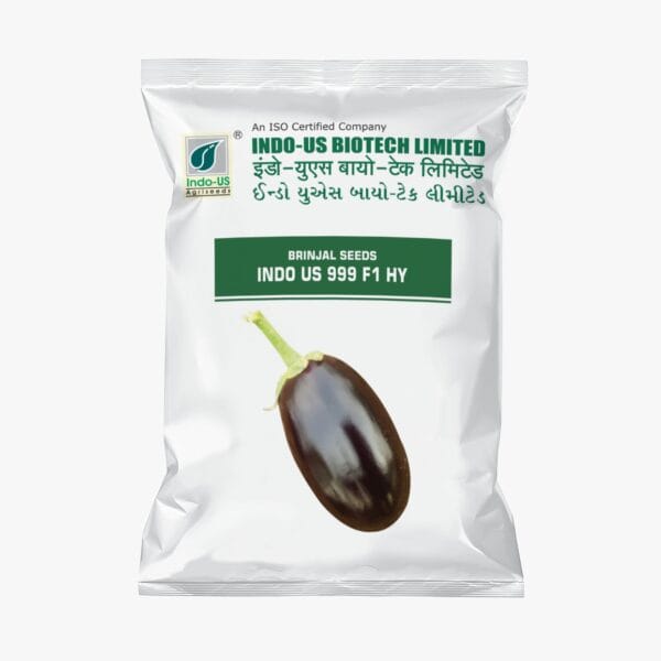 BRINJAL SEEDS INDO US 999 F1 HY (10 GM)