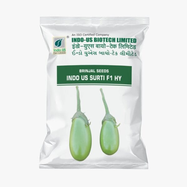 BRINJAL SEEDS INDO US SURATI F1 HY (10 GM)