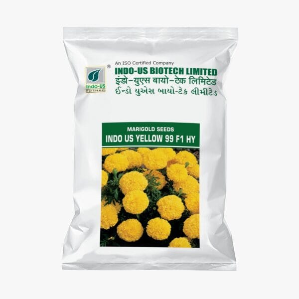 MARIGOLD SEEDS INDO US YELLOW 99 (1000 NOS.)