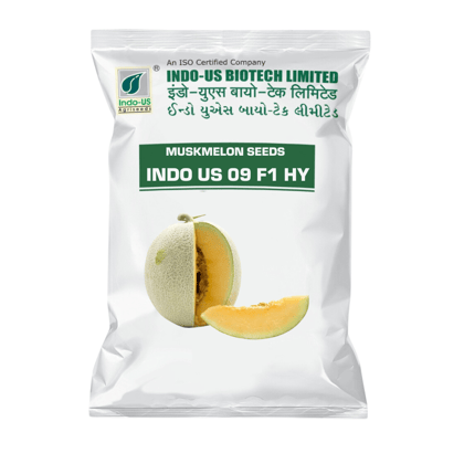 MUSKMELON SEEDS INDO US  09 F1 HY (10 GM)