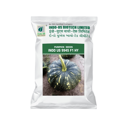 PUMPKIN SEEDS INDO US 9945 F1 HY (10 GM)