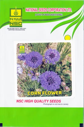 NSC Corn Flower Seeds - High Quality Seeds