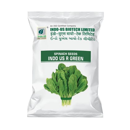 PALAK SEEDS INDO US R GREEN (500 GM)