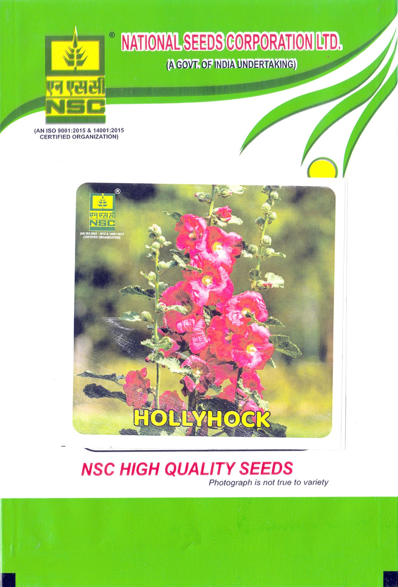 NSC Hollyhock Seeds - High Quality Flower Seeds