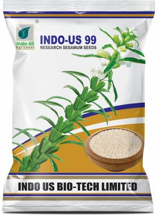 INDO-US 99 Sesamum Seeds