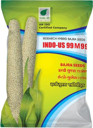  INDO-US 99 M99 Bajra Seeds