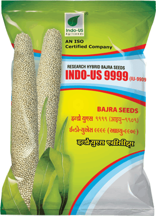 INDO-US 9999 Bajra Seeds