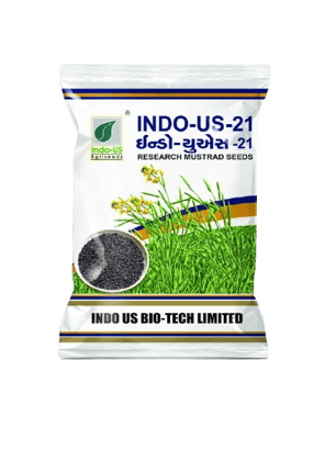  INDO-US-21 Mustard Seeds