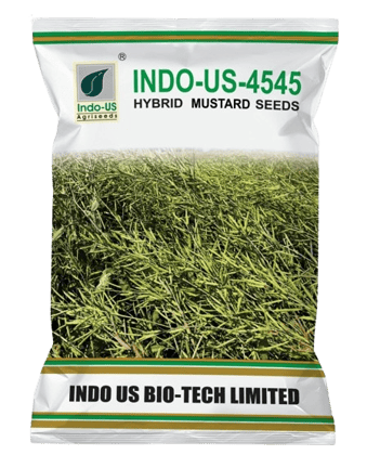  INDO-US-4545 Mustard Seeds