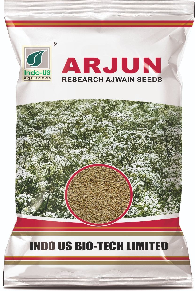 INDO US ARJUN AJWAIN SEEDS