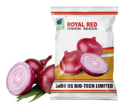  INDO US ROYAL RED ONION SEEDS