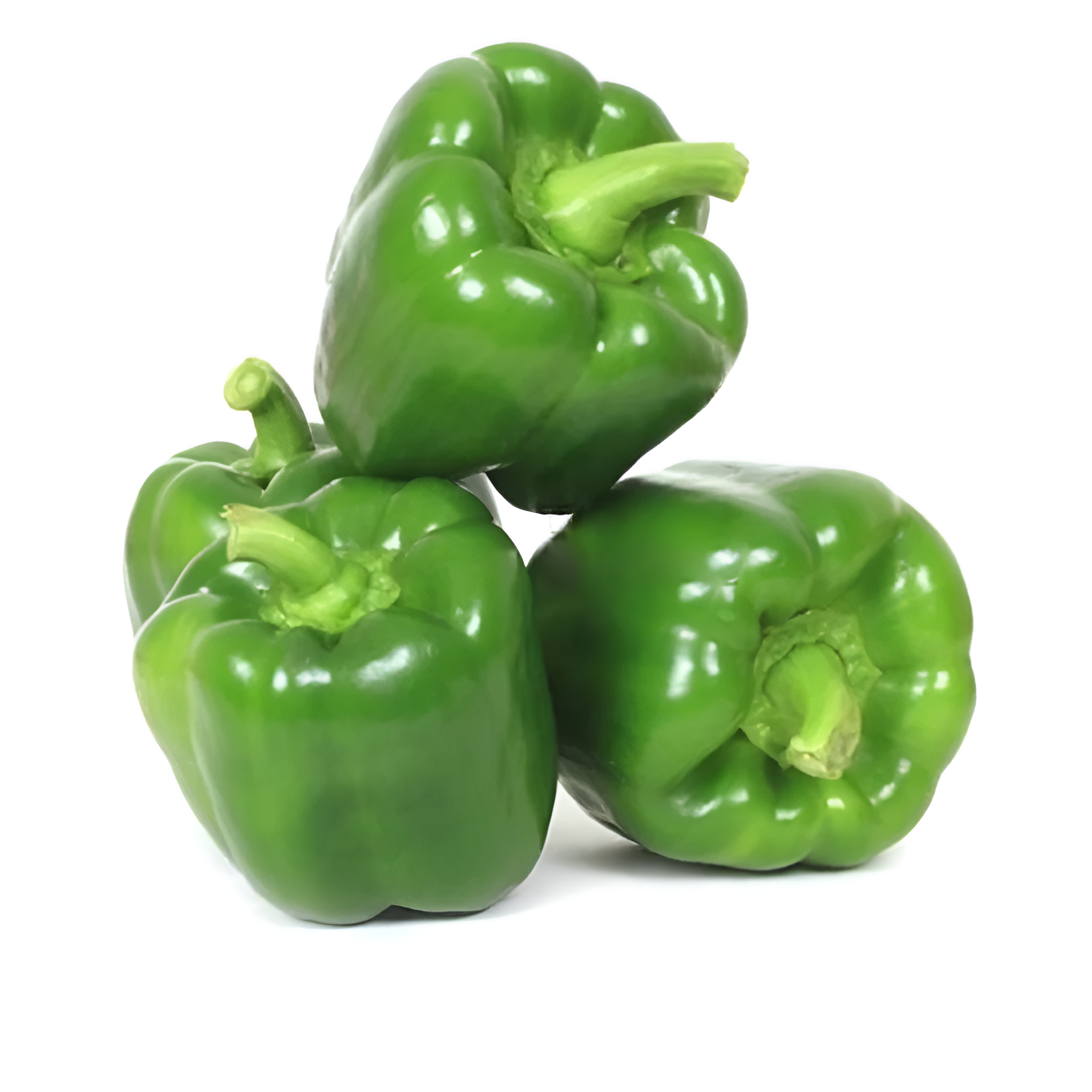 CAPSICUM INDAM BHARATH HYBRID SEEDS