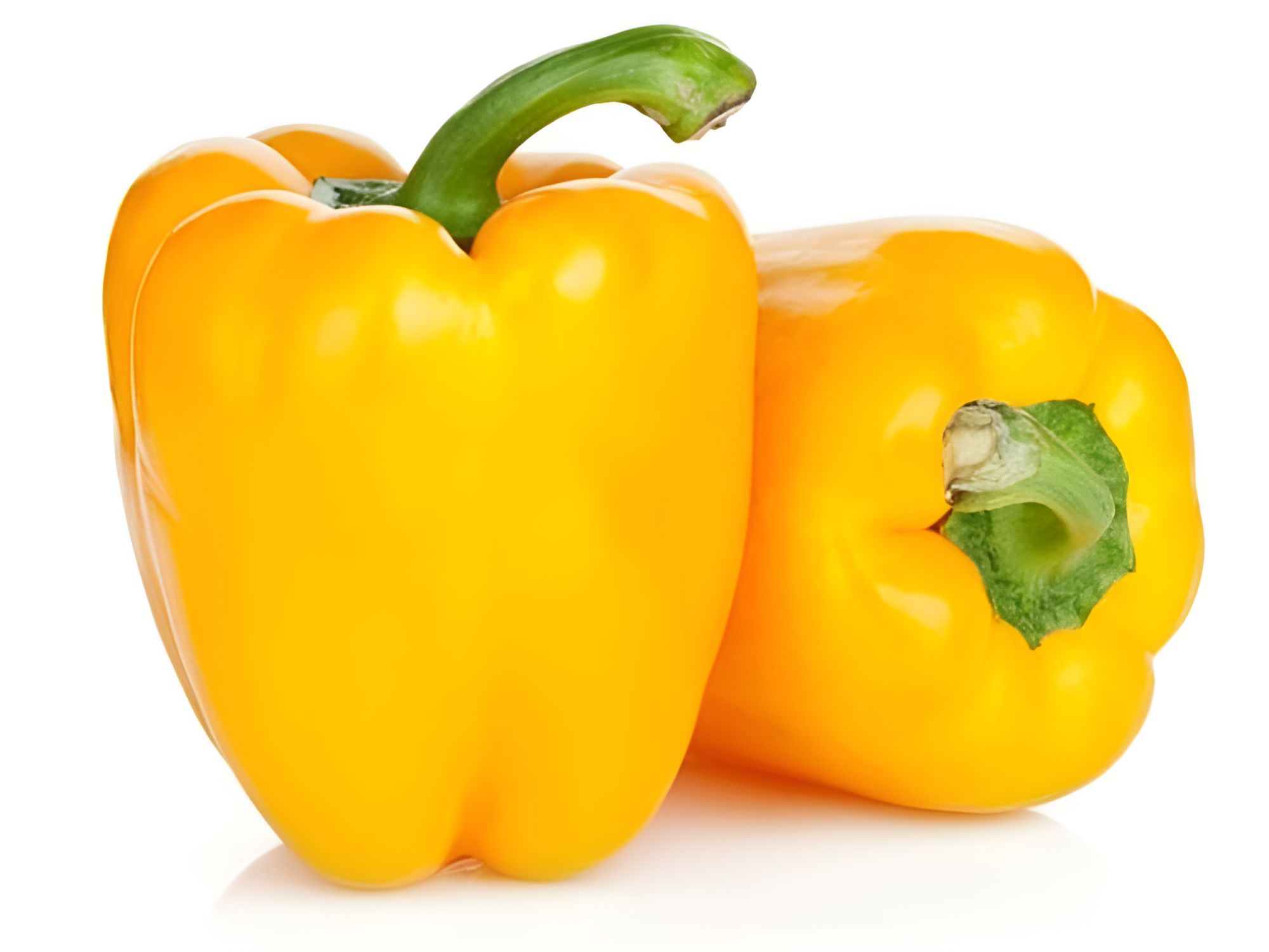 CAPSICUM INDAM SUPER GOLD HYBRID SEEDS