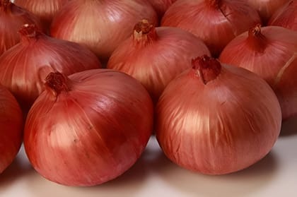 ONION INDAM-4 HYBRID SEEDS