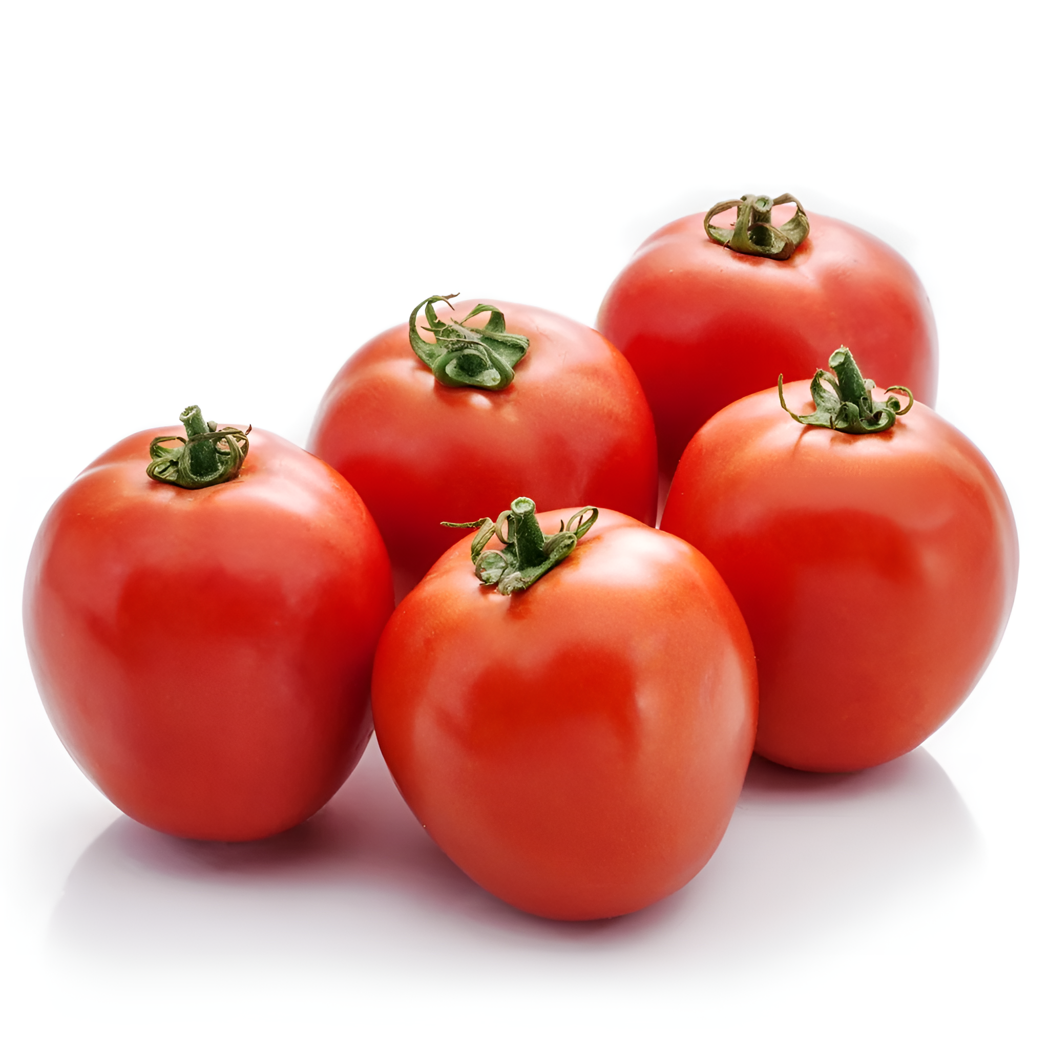 TOMATO INDAM 13201 HYBRID SEEDS