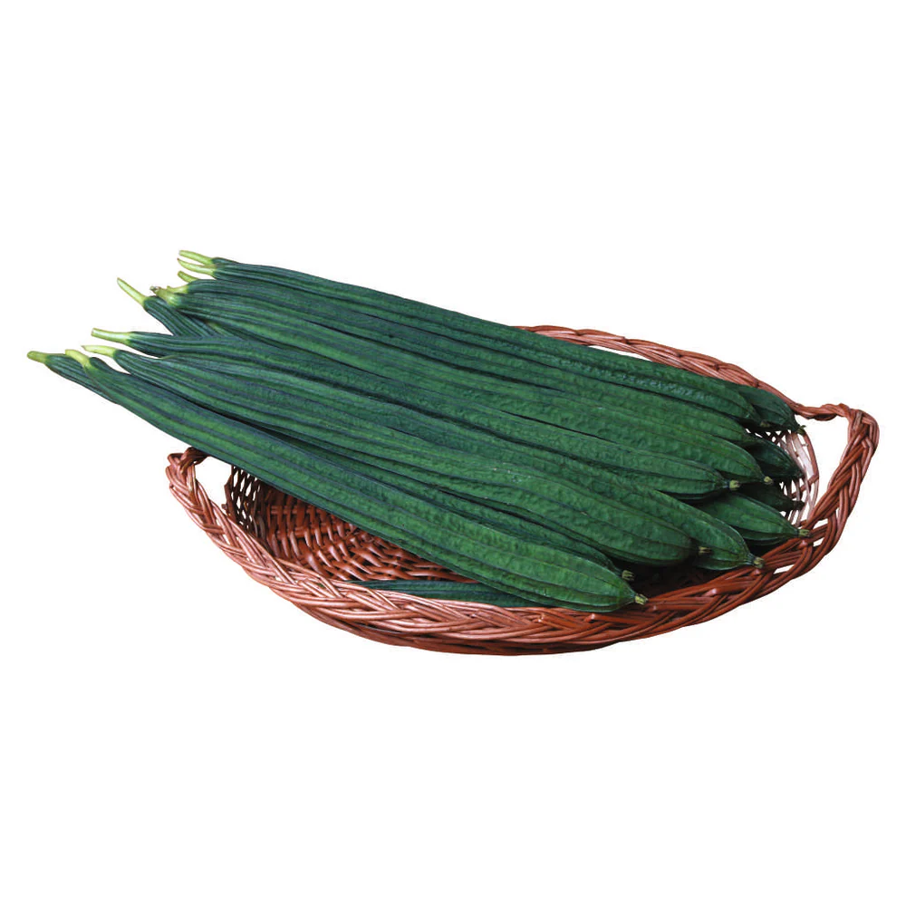 RIDGEGOURD INDAM-1222 [HY]