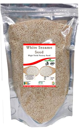 White Sesame - High Yield Variety Seed - 1Kg