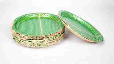  100% Natural Areca Leaf Plates | Disposable and Eco-Friendly | 8 Inches | Pack of 25