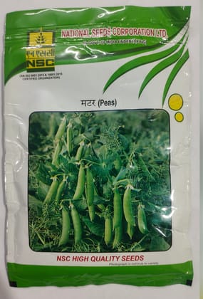 NSC Pea PB-89 TL Seeds