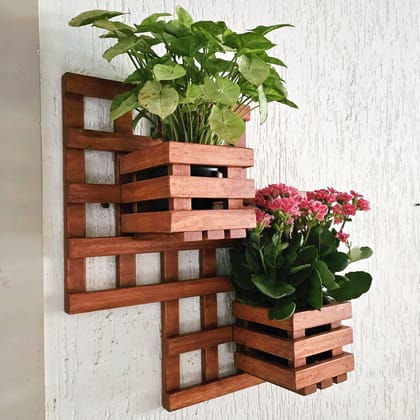 BARISH - Wall Mounted Planter - Square Double | Handcrafted with Rubberwood | Indoor Hanging Planter with Wall Mount Stand 18" x 18" x 6" Inches