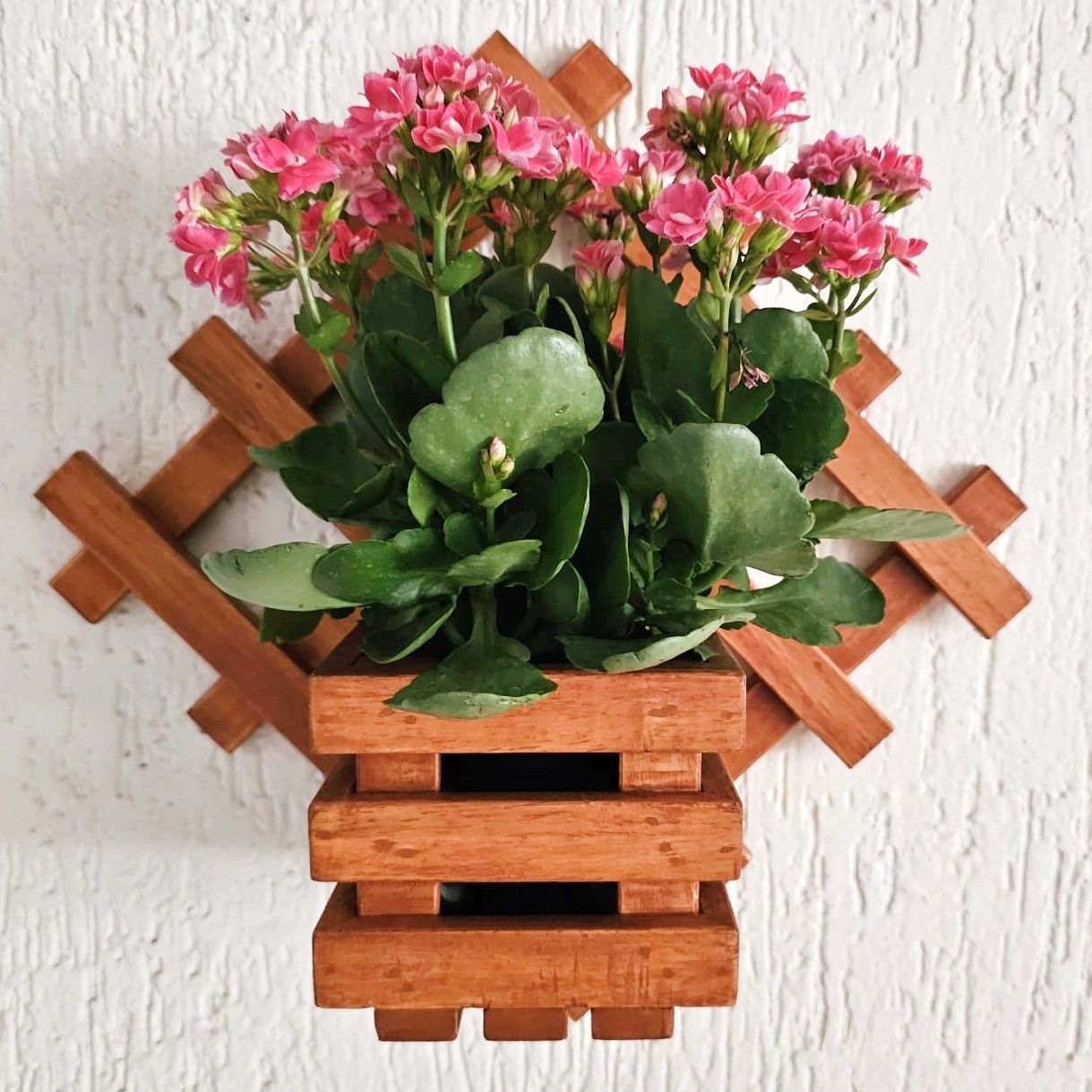 BARISH - Wall Mounted Planter - Diamond Single | Handcrafted with Rubberwood | Indoor Hanging Planter with Wall Mount Stand 16" x 16" x 6" Inches