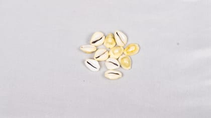  "100% Natural White Cowrie Shells for Crafts, Jewelry Making, and Home Decor"