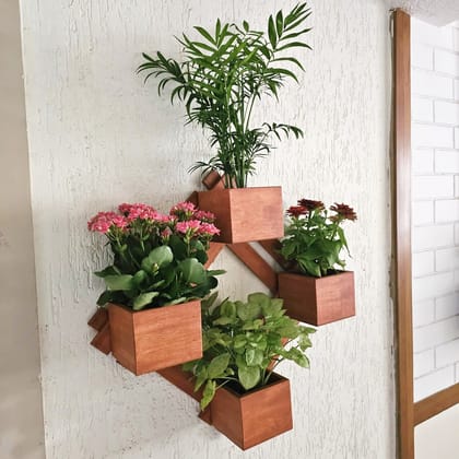 BARISH - Wall Mounted Planter - Diamond | Handcrafted with Rubberwood | Indoor Planter Frame with Stand 25" x 25" x 6" Inches