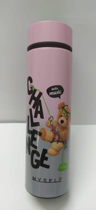 stainless steel, vacuum-insulated Water bottle, Tumblers with various bear designs and plane colour