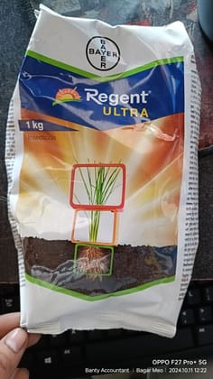 Regent 1 kg