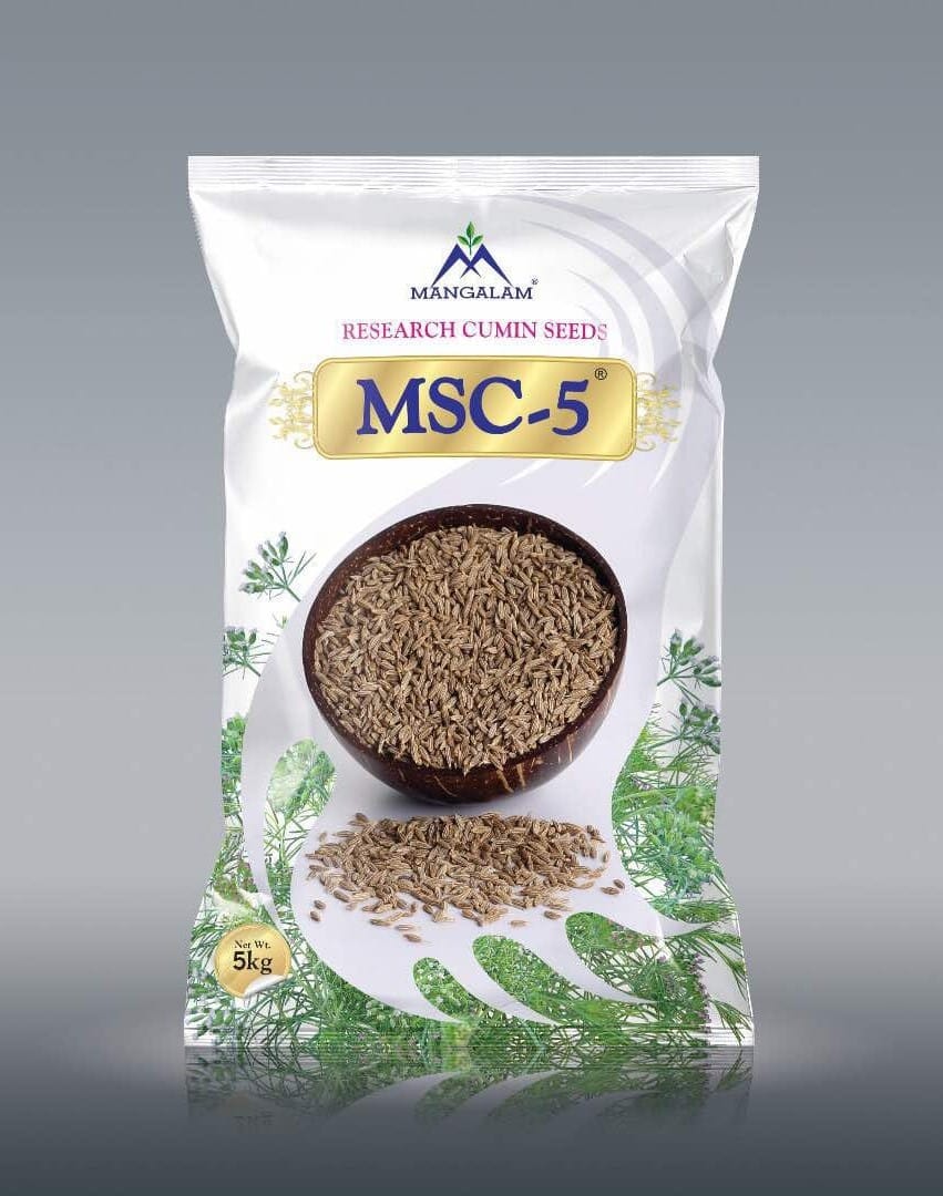 RESEARCH CUMIN MSC-5