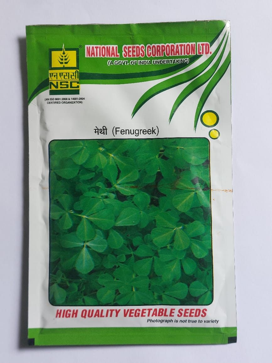  National Seeds Corporation Ltd Methi (Fenugreek) High Quality Vegetable Seeds