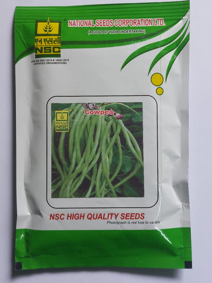  NSC High Quality Cowpea Seeds