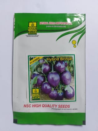  F1 Hybrid Brinjal Seeds - High Quality Vegetable Seeds