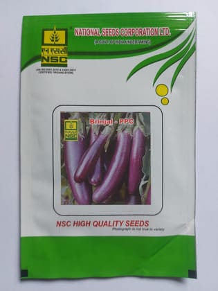  Brinjal - PPC