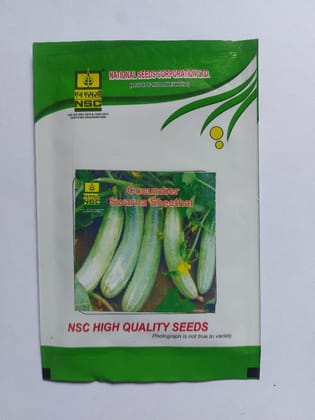  Cucumber Swarna Sheethal - High Quality Seeds