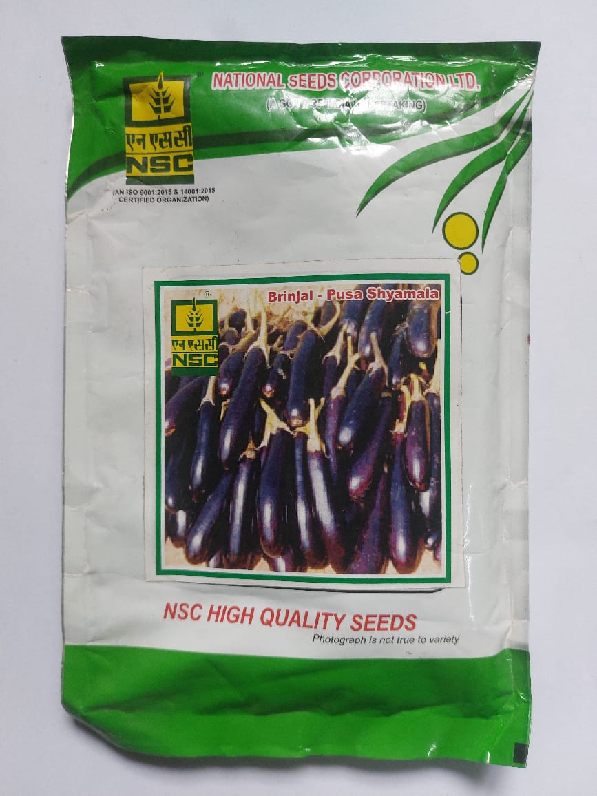  Brinjal Pusa Shyamala Seeds - High Quality Vegetable Seeds