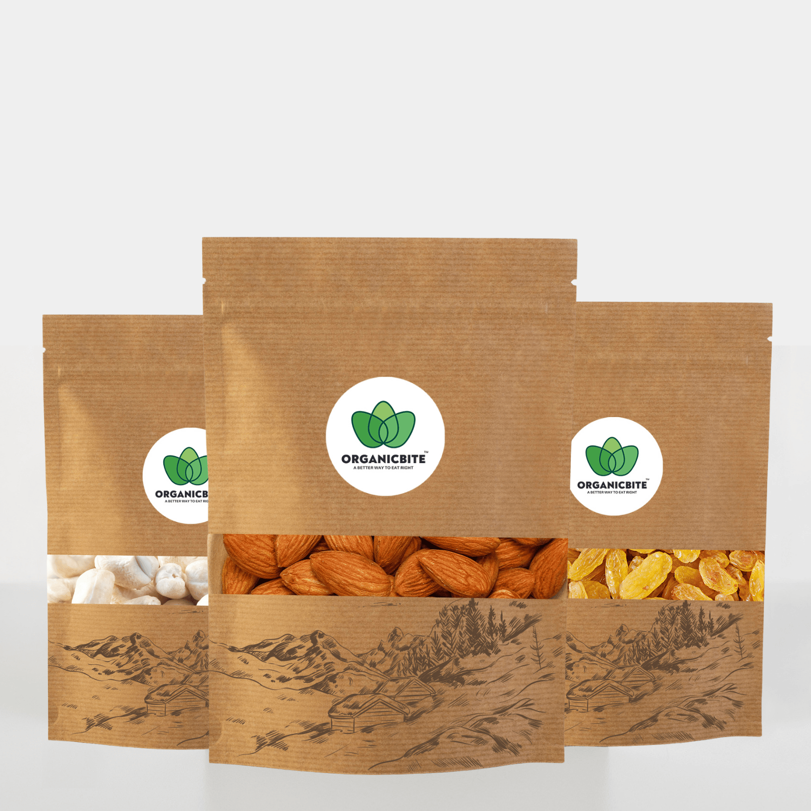 Gift Combo Pack - Almonds, Cashews, Raisins ( Each 250gm )