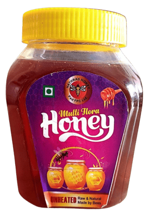 Multi-flora Honey (500 gm)