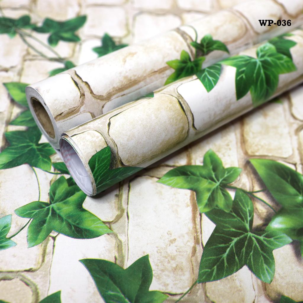 Jaychan Floral & Botanical Green Wallpaper  (500 cm x 45 cm)