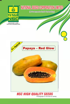 NSC PAPAYA RED GLOW - F1 HYBRID, TRUTHFULLY LABELLED 1 gm