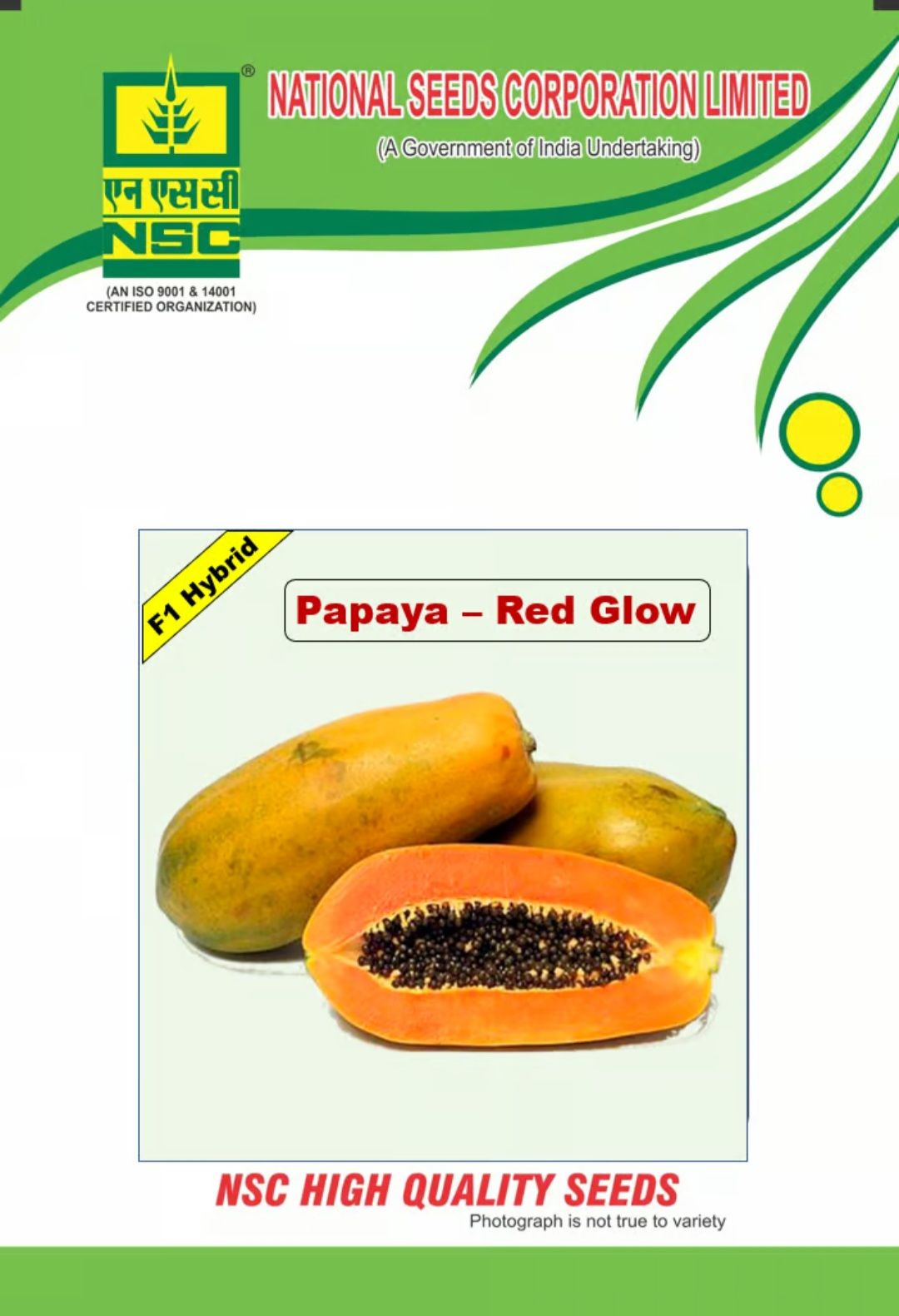 NSC PAPAYA RED GLOW - F1 HYBRID, TRUTHFULLY LABELLED 1 gm