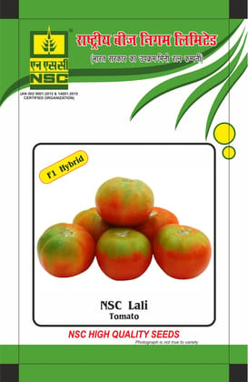 NSC TOMATO (LALI), 10 gm Hybreed seed Pouch