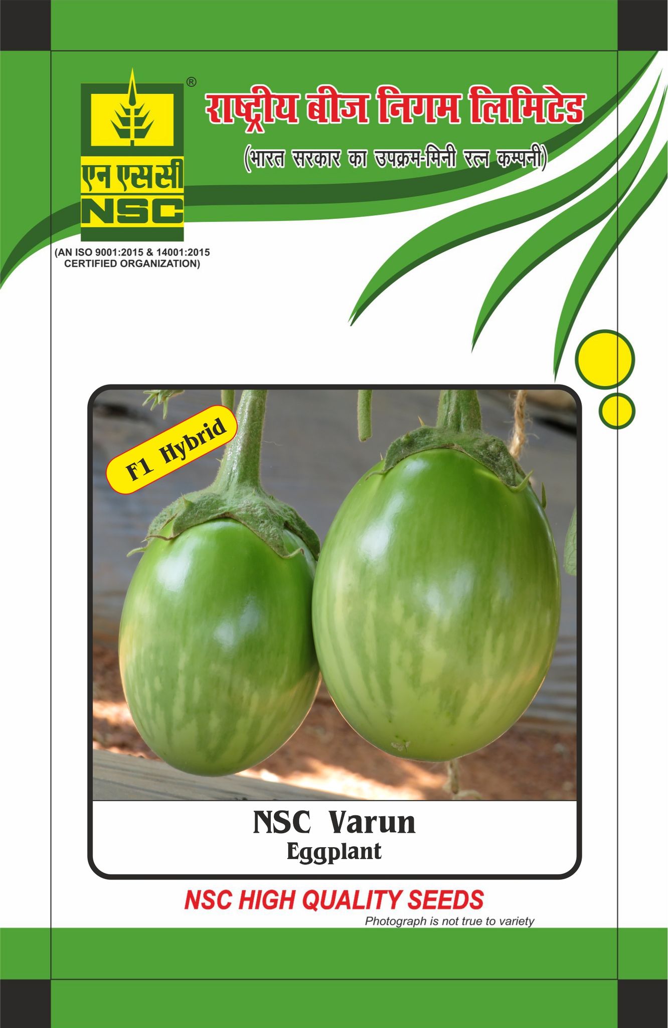 NSC Brinjal/Egg plant (Varun), 25 gm Hybrid seed Pouch