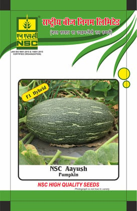 NSC PUMPKIN Aayush, 25 gm Hybrid seed Pouch