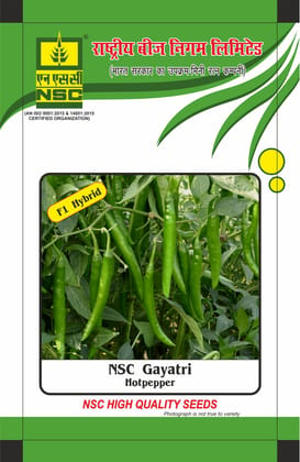 NSC HOT PEPPER Gayatri, 10 gm Hybrid seed pouch