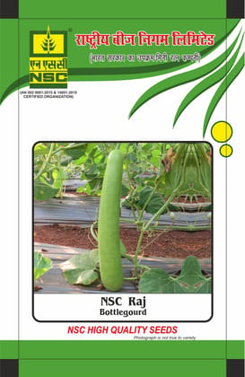 NSC Bottle Gourd Raj, 10 gm Open-pollinated (OP) seed pouch