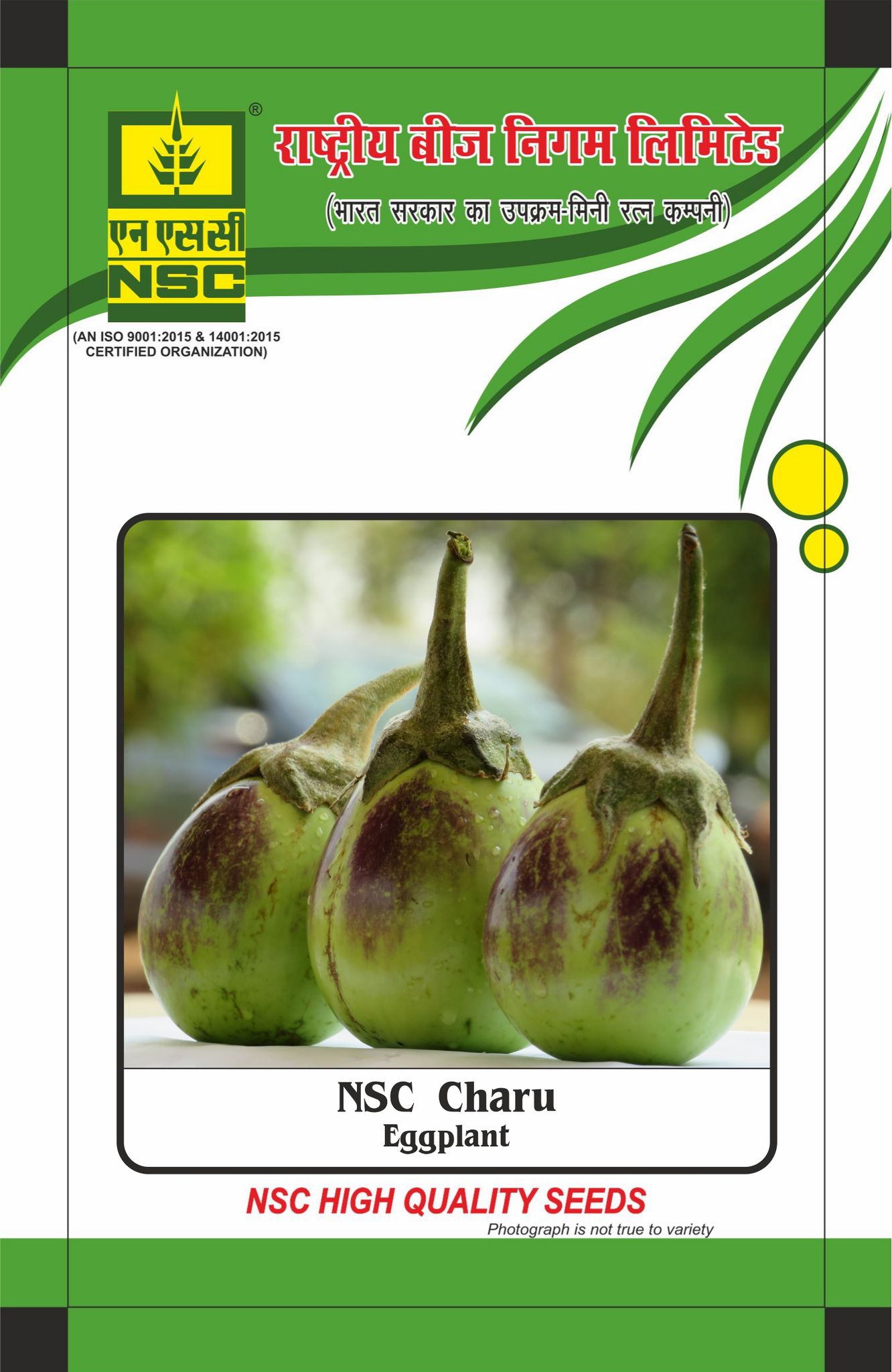 NSC Brinjal/Egg plant Charu, 10 gm Open-polinated (OP) seed Pouch